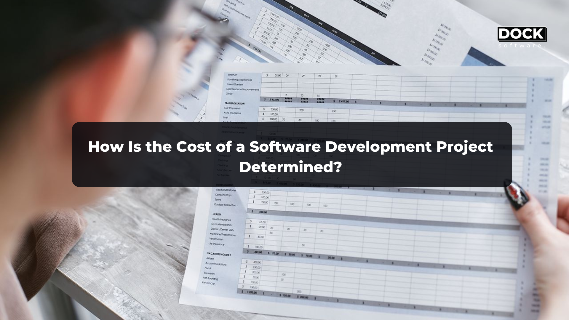 How Is the Cost of a Software Development Project Determined?